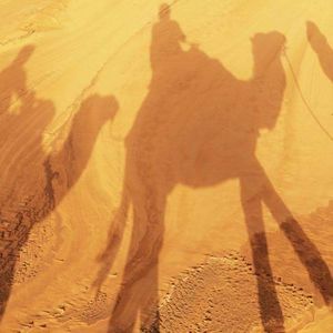 Meet your Posher, Jay